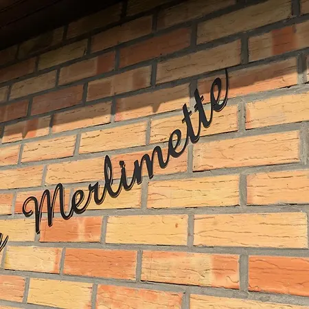 La Merlimette 别墅 *